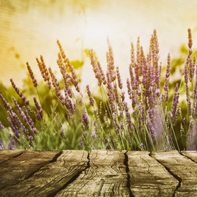 Cedar Leaf & Lavender