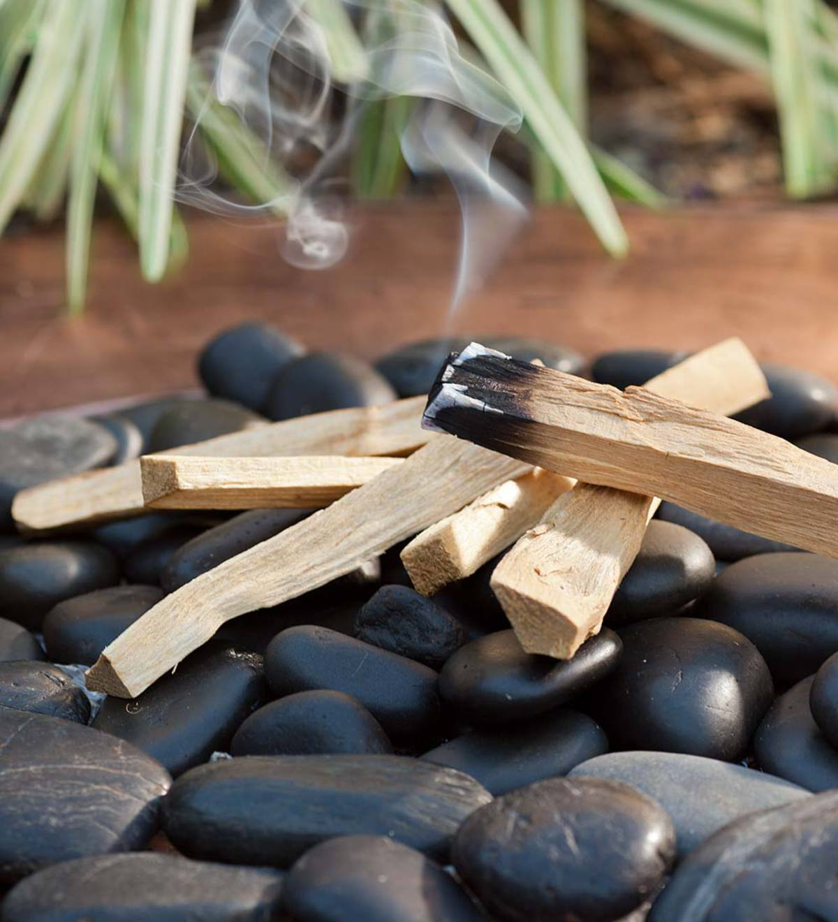 Palo Santo Patchouli