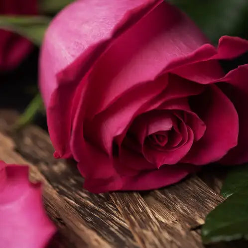 Rose & Oud